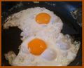 Les oeufs brouilles anti-poulet 213.jpg