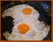 Les oeufs brouilles anti-poulet 213.jpg