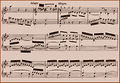 Bach primer14.jpg