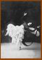 Caryathis 'La Belle Excentrique' 1921 Colisee-3.jpg