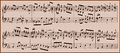 Bach primer50.jpg