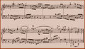 Bach primer11.jpg