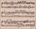 Bach primer49.jpg