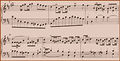 Bach primer12.jpg