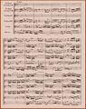 Bach primer16.jpg