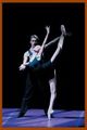 Duo medial Zakharova & Merkurjev (2006).jpg